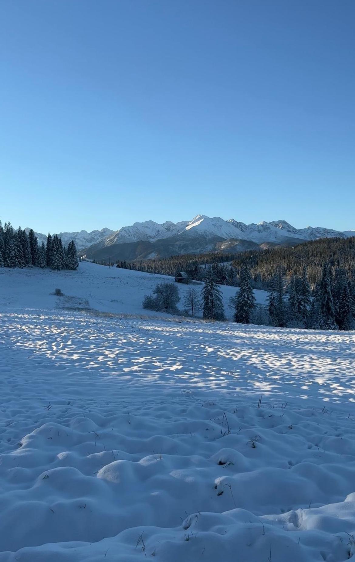 Tatra Widok Διαμέρισμα Bukowina Tatrzańska Εξωτερικό φωτογραφία